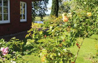 Reetdachhaus direkt am Wasser - Foto 32