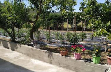 Garden House - 82 m2- Rustic Apartment - Foto 11