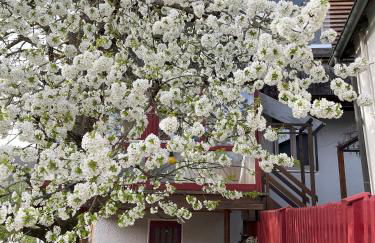 Obertraum Appartement und Ferienwohnung - Foto 1