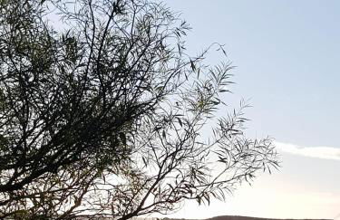 Apartment Sunshine - Golfplayer and Holidays - Foto 24