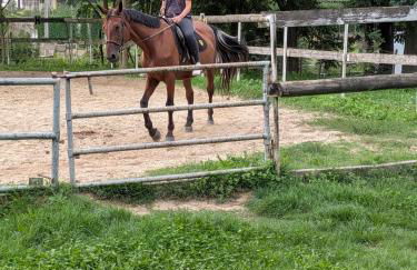 Anticopodere - Foto 7