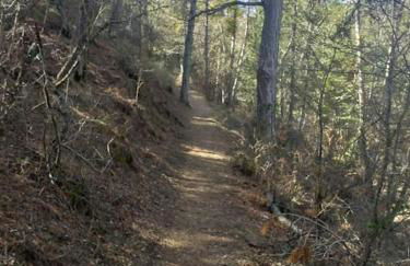 Villa Carmeryl - Photo 29