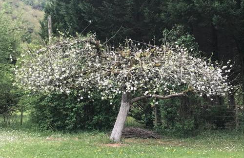 gite la bergerie en bord d'Aveyron - Foto 12