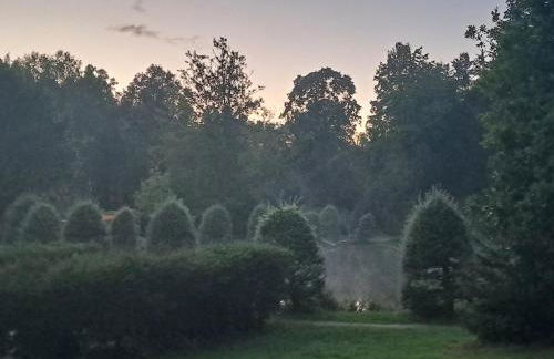Gemütliche Ferienwohnung mit Sauna und Balkon im Zentrum von Bad Elster - Photo 24