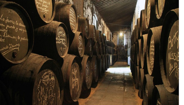 Baie de Cadix et Jerez - Photo 4