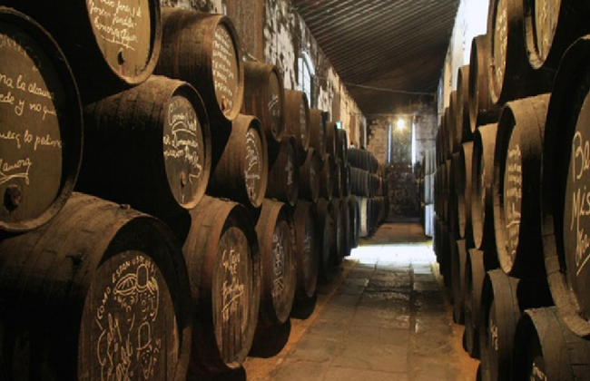 Baie de Cadix et Jerez - Photo 4