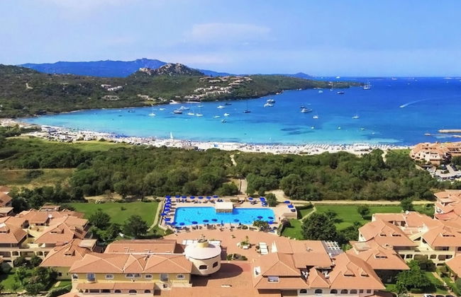 Mono Calamaro Eucalyptus 242 - Foto 14