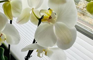 Ferienwohnung Obernkirchen - Foto 10