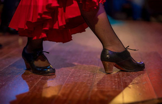 Jardines de Zoraya Flamenco Tablao - Photo 12