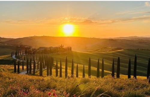 Agriturismo Baccoleno - Foto 24