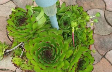 Studio apartman Ivana - Foto 27