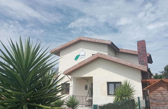 La Cigarrita Guest House - Douro Valley - Foto 29