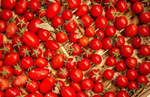 Agriturismo Cella di Montalto Pavese - Photo 58