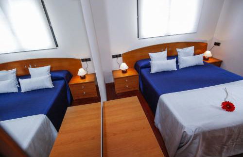 Gira-sol Planetcostadorada - Foto 14