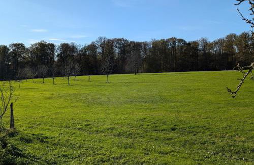 Gîte nature & confort rénové, Plateau des 1000 étangs - WIFI, parking - FR-1-583-302 - Foto 35