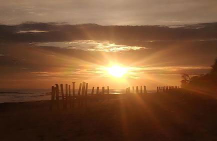 Le Ptit Vertbois - Foto 15