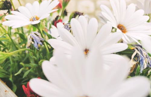 Villa CostaMare - enjoy lazy days on the private Pool-Jacuzzi - Foto 58