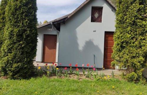 Domek z ogrodem - Foto 11