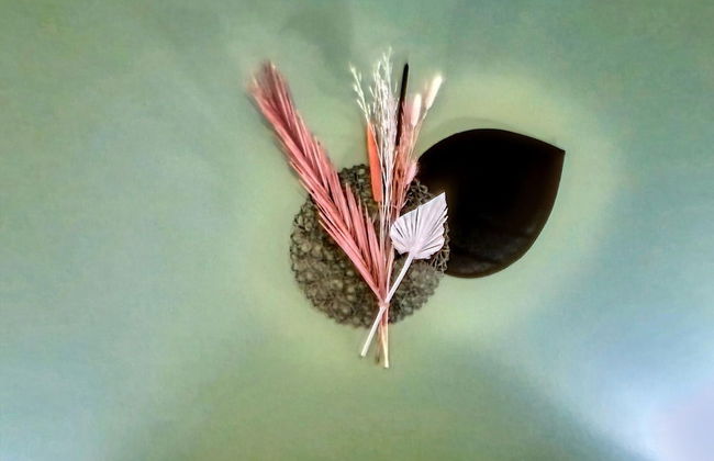 Apartment by the Beach in Dalmatia - Foto 21