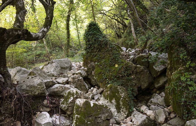 Oak Leaf Residences - Foto 20