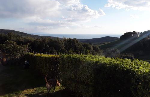 Casolare il Salice - Foto 19