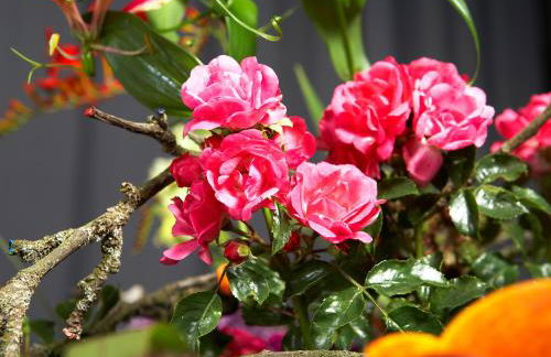 Villa Florentine - Foto 67