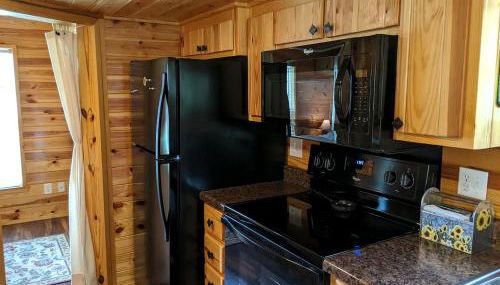 Rustic Cabin Rental near Asheville Perfect for a Weekend Getaway on Tuckasegee River - Foto 2