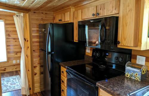 Rustic Cabin Rental near Asheville Perfect for a Weekend Getaway on Tuckasegee River - Foto 2