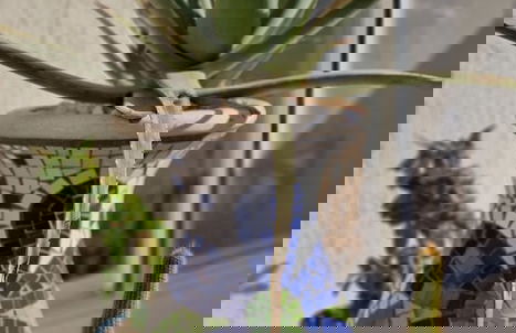 Mystic collection of Luxury apartments - Foto 58