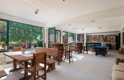 Tosic Estate - Villa, Vineyards and Winery - Foto 9