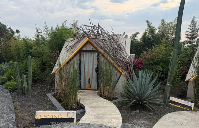 Bosque Geométrico - Foto 31