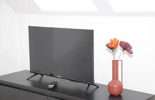 Nibelungen Apartments - Worms-Hochheim - Foto 33