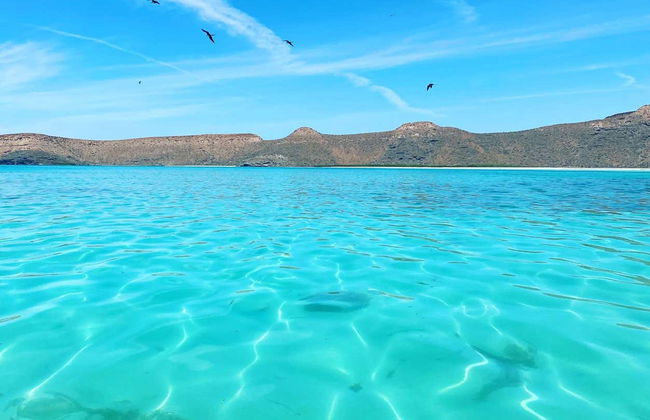 Espiritu Santo Island Boat Tour - Foto 7