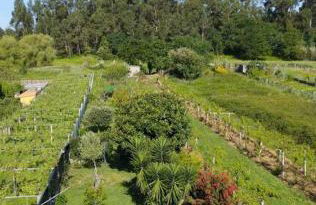 A casa das Ficas - Foto 1