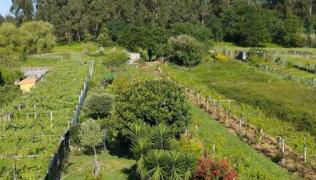 A casa das Ficas - Foto 1