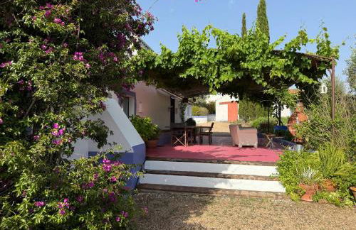 Courela do Monte Novo - Photo 21