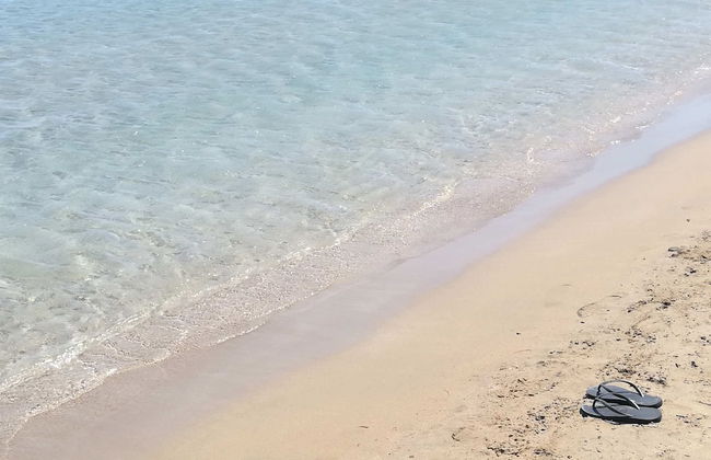 Ktima Grammeno - Foto 18