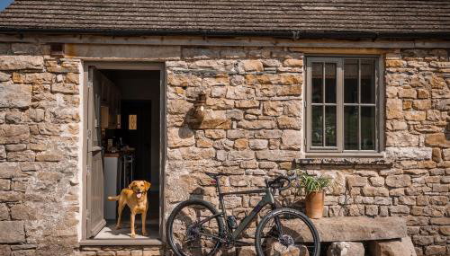 Neddy Meadow - Foto 2