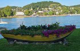 Wellness am Rheinufer - Foto 19