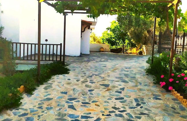 Villa Leonidas GreeceFiloxenia - Photo 53