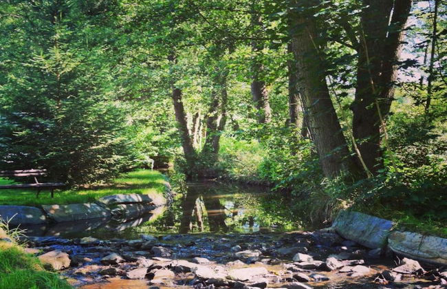 Bad Elster Apartment in Sohl - Foto 29