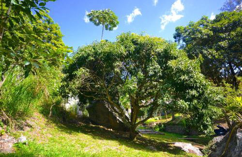 Vila da Sol Itaipava casas e estúdios - Foto 67