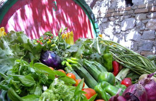 Agriturismo biologico 'A Lanterna - Foto 63