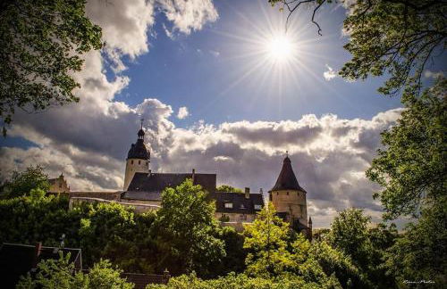 Ferienwohnung Schlossblick Altenburg - Foto 54