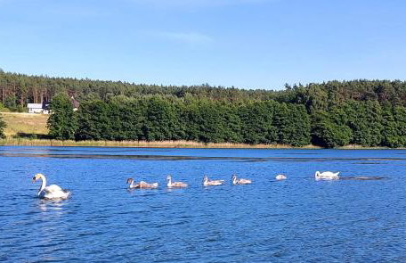 Domus Mare Tiny House 2 - Foto 37