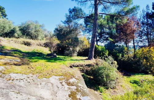 Finca Axarquía de Gredos - Photo 59