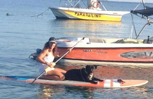 Villa Philosophia - Philos - Foto 10