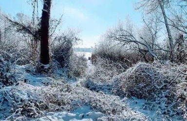 Pension am Reethaus - Foto 22