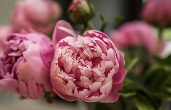 Holiday Home in Gelderland Near Nature Trails - Photo 15