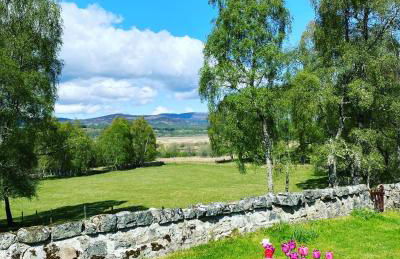 Old School - Foto 20